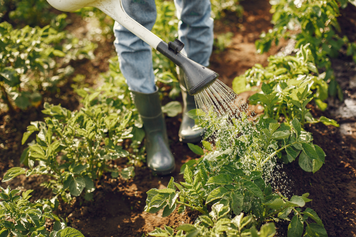 Comment préparer le sol d’un potager ?