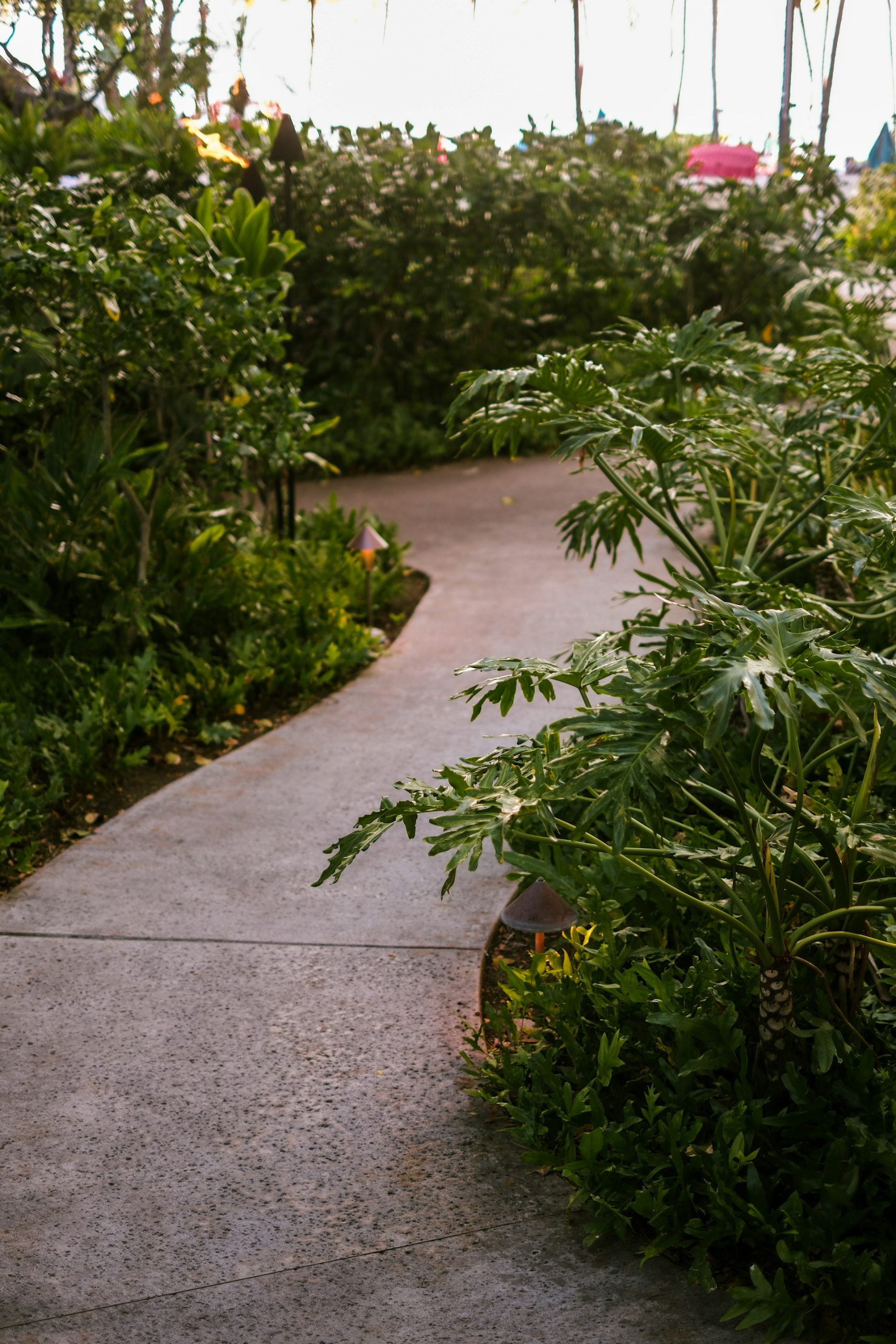 Comment Créer un jardin harmonieux 