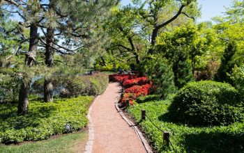 Comment Créer un jardin harmonieux