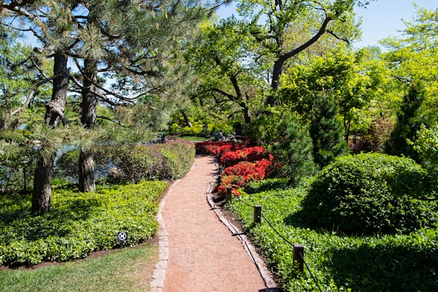 Comment Créer un jardin harmonieux